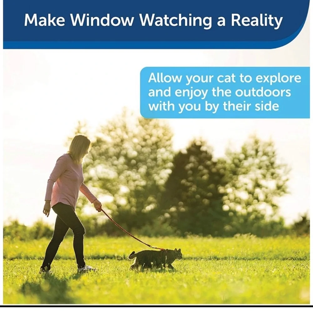 Pet safe come with me kitty harness and bungee leash blue medium